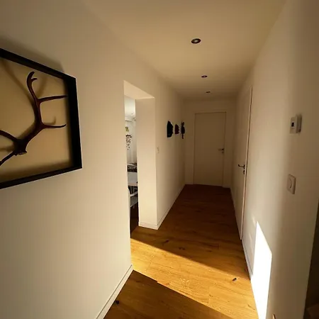 Cool House Villa